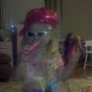 Meet your Posher, Bridget